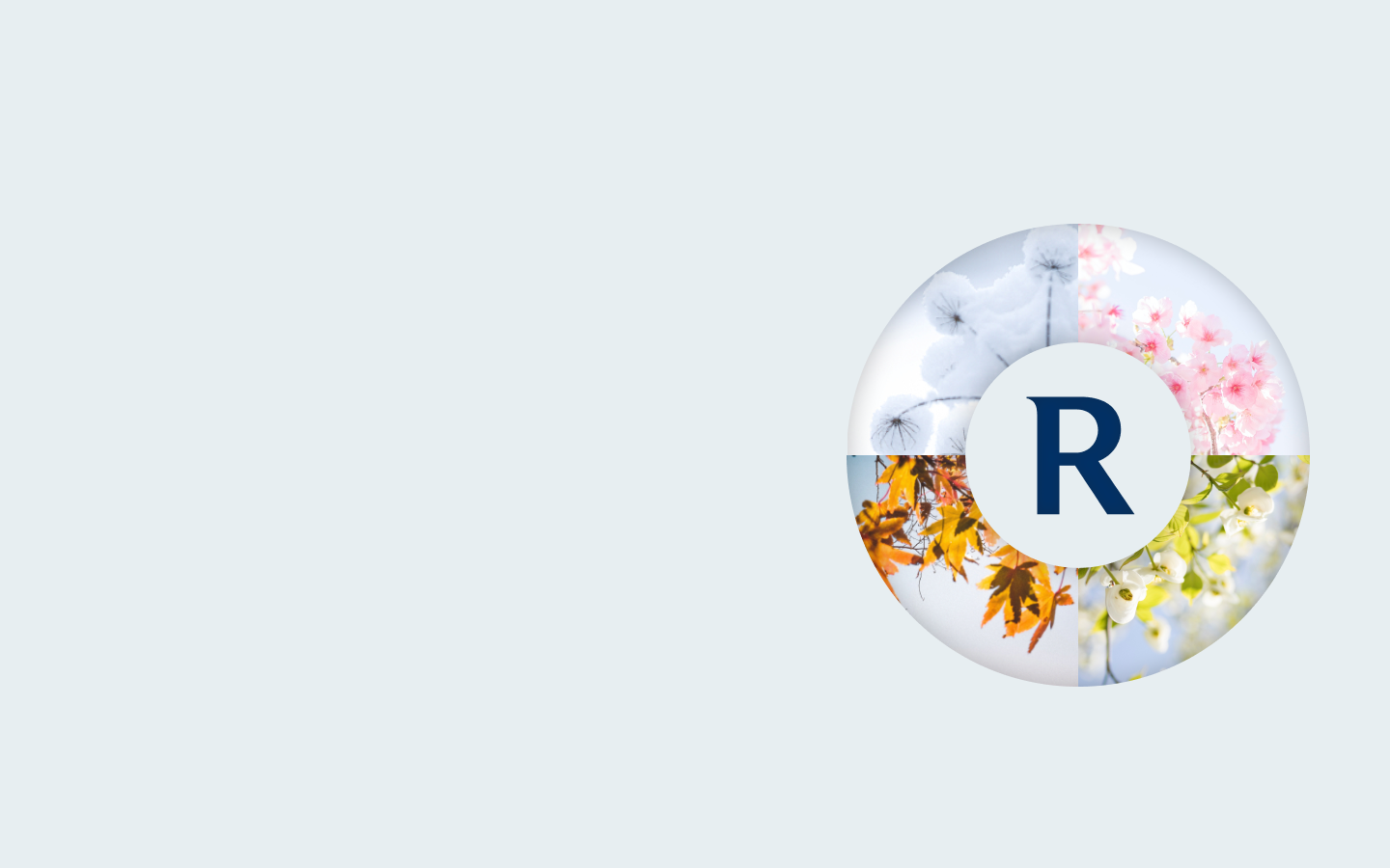 ROULEAU GROUP Accueil