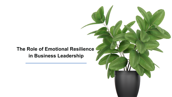 The Role of Emotional Resilience in Business Leadership