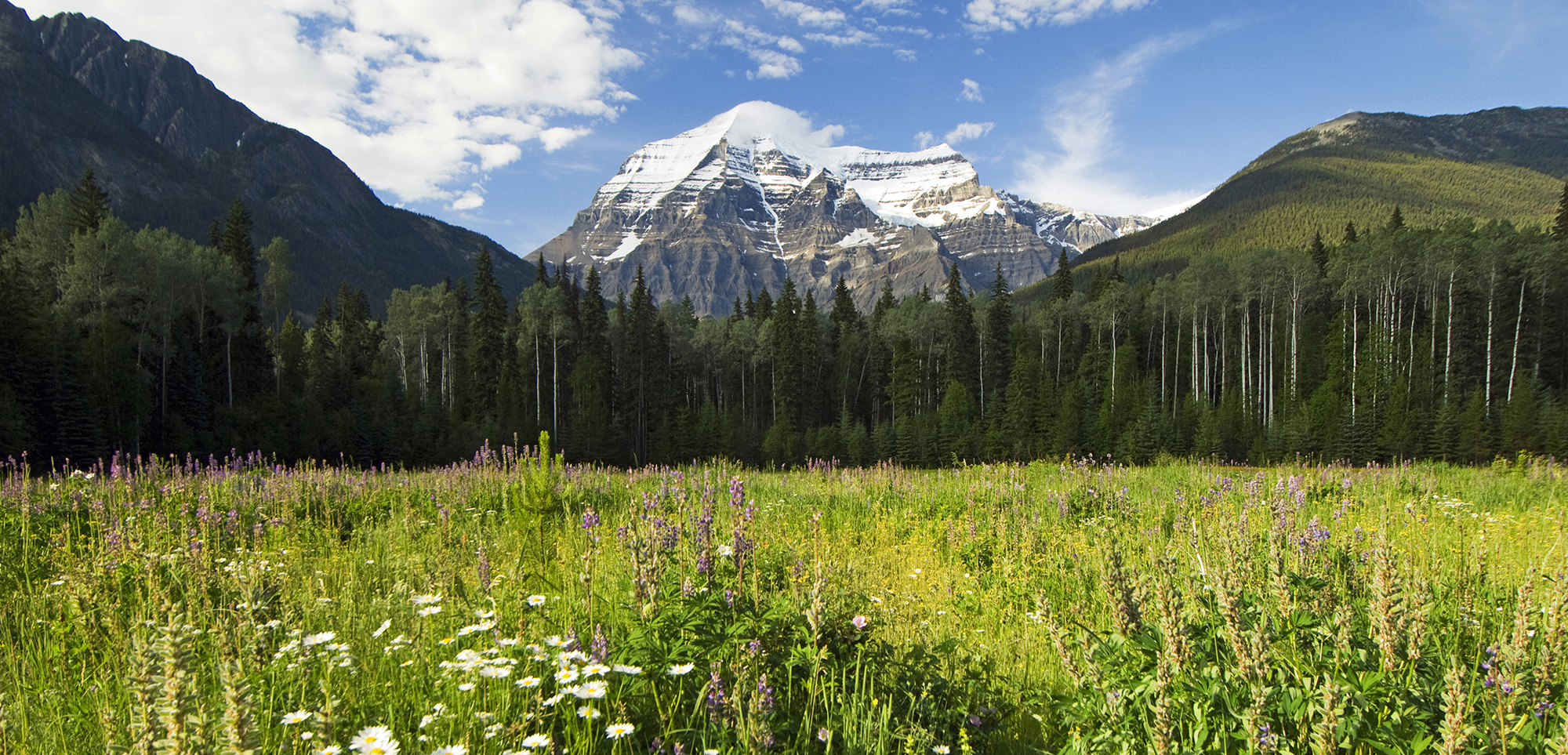 Kathy Tsonis Wealth Management Group BC Rockies Mount Robson