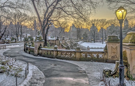 winter city harvest twilight