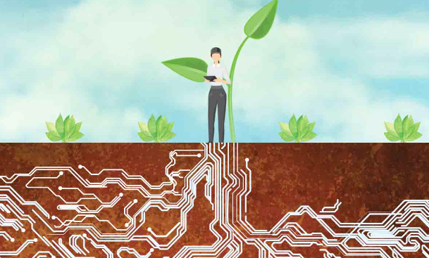 Graph. Woman farmer standing on soil with computer wires representing the roots of a seed.