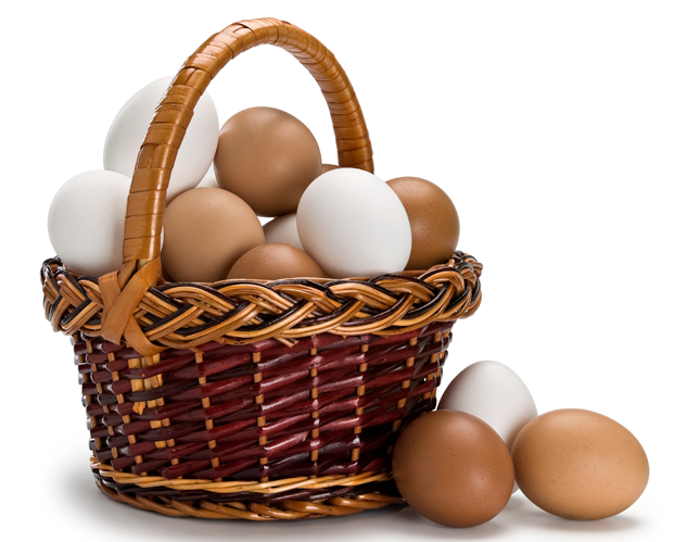 Man eggs in one basket