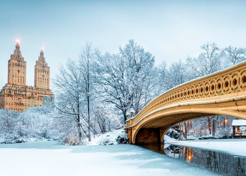 central park winter frozen