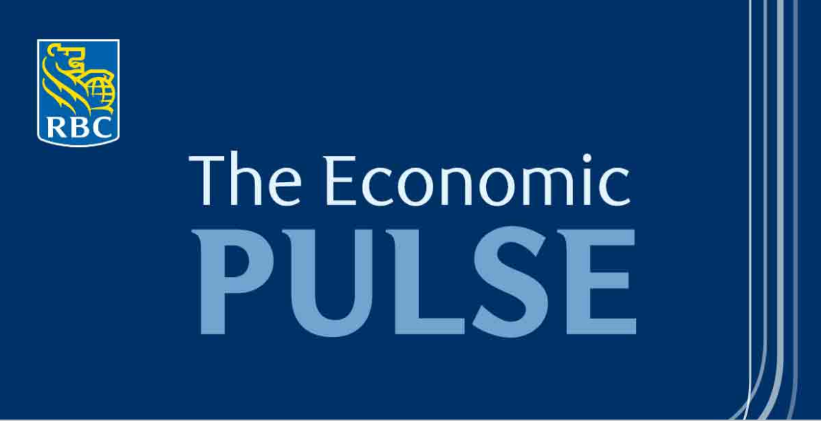 the economic pulse