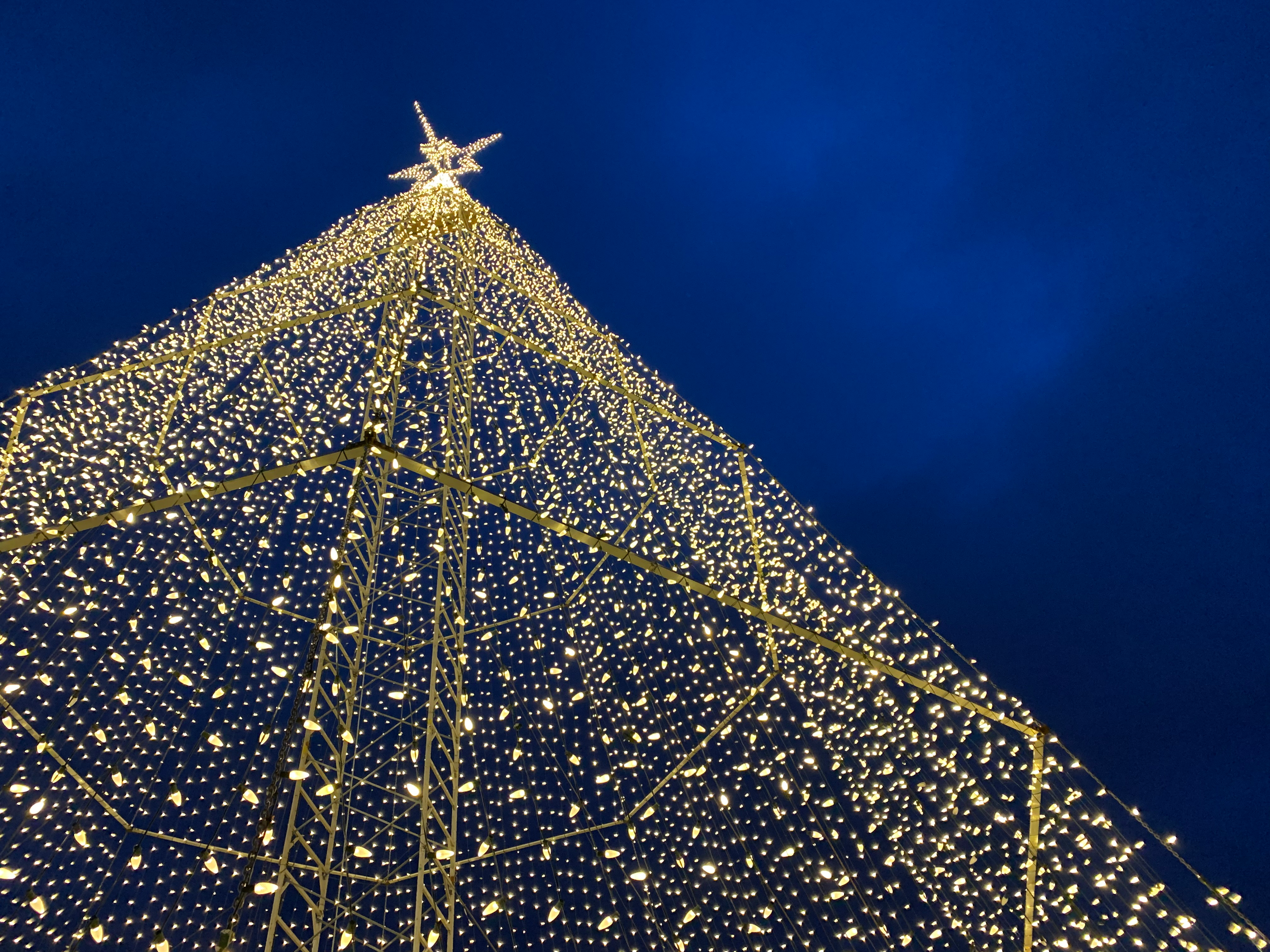 Tree of Hope - Landmark District, Kelowna BC