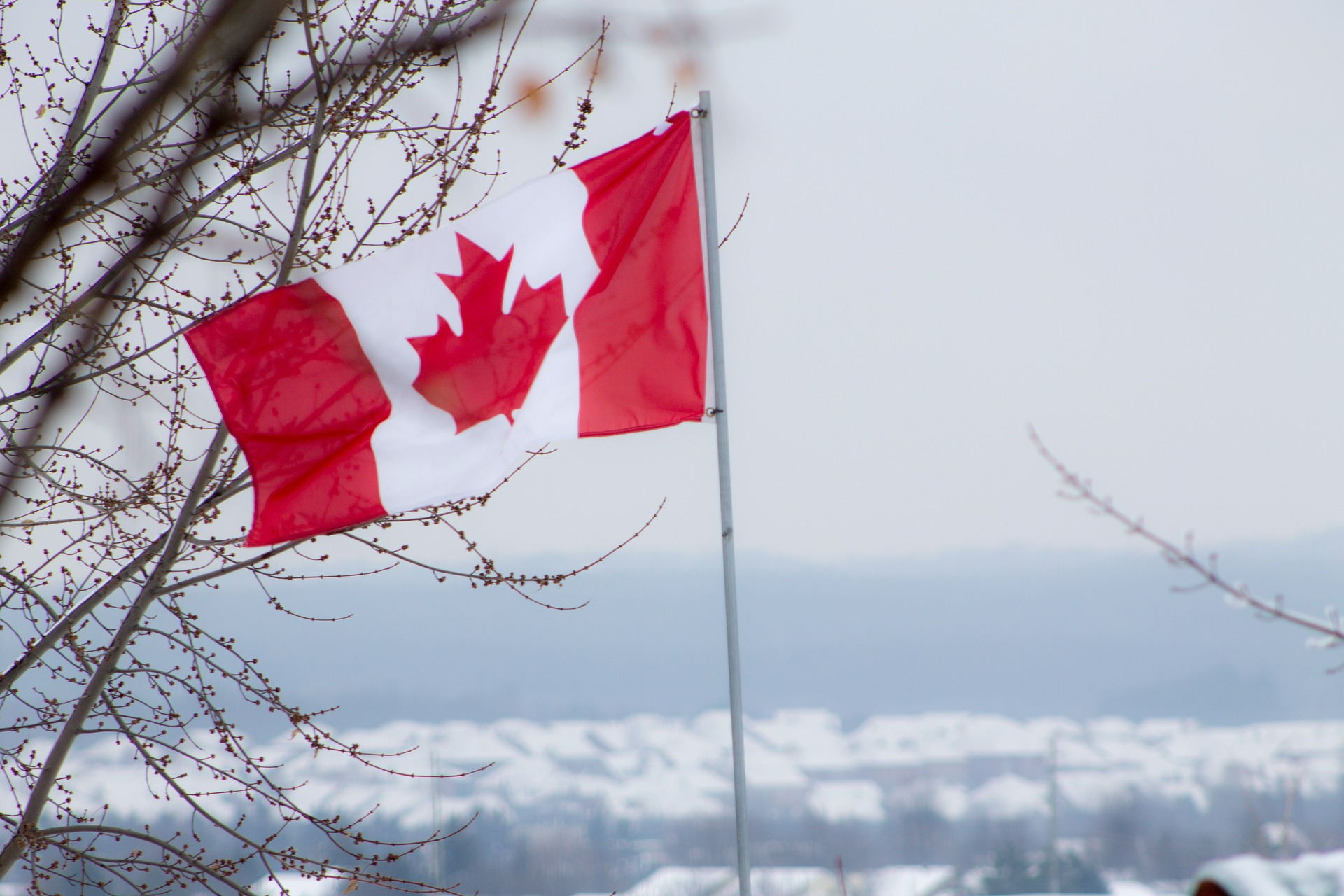 Canadian flag on a pole. It is partially obstructed by bare tree branches. The background is a blurred out city by the water.