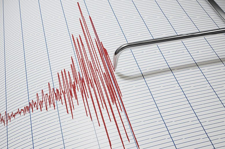 seismograph-line-chart-in-page