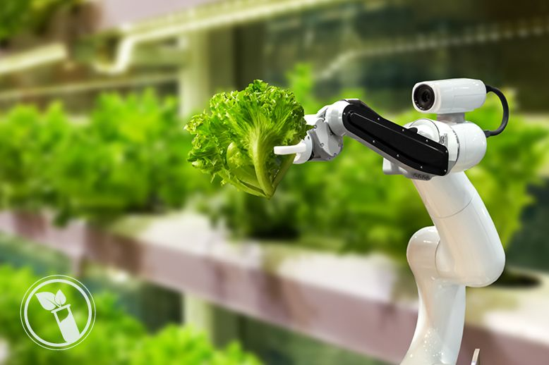 robotic-farmer-vertical-garden-in-page