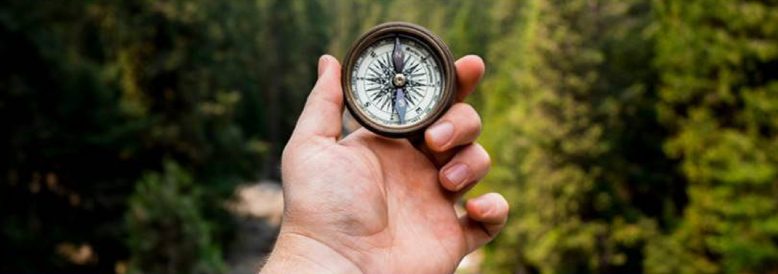 hand holding compass in page