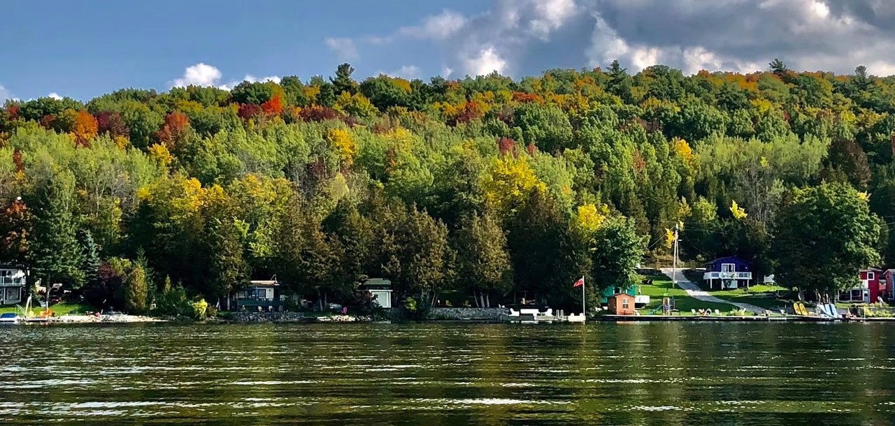 Business Owners banner