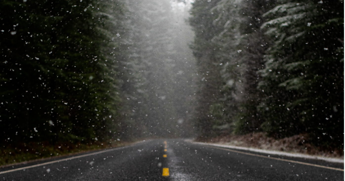 Empty road through a snow covered forest.