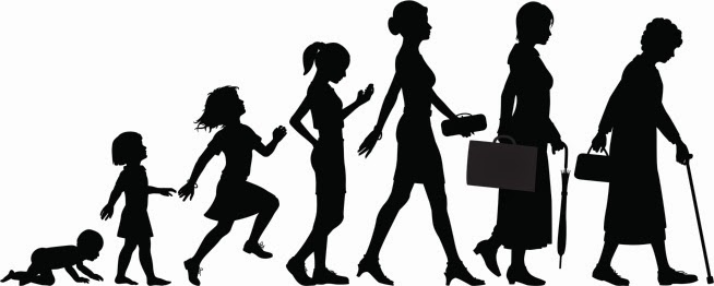 Picture of Life Stages