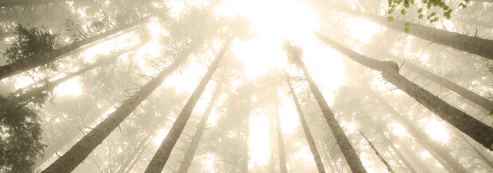 Clarke Brun Wealth Management