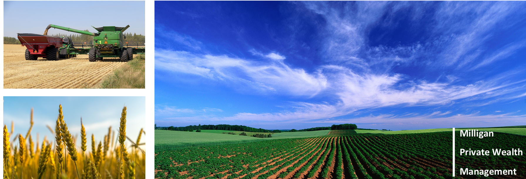 The Milligan Private Wealth Management Team