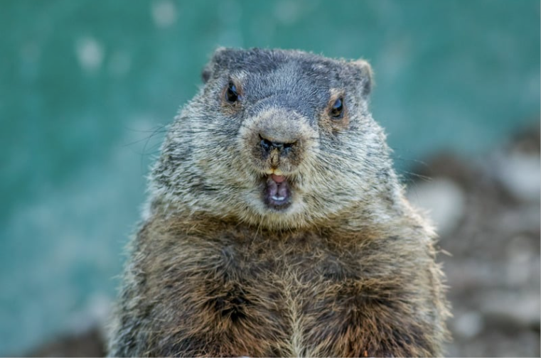 The end of Groundhog Day