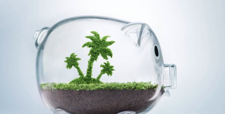 glass piggy bank with palm trees and dirt