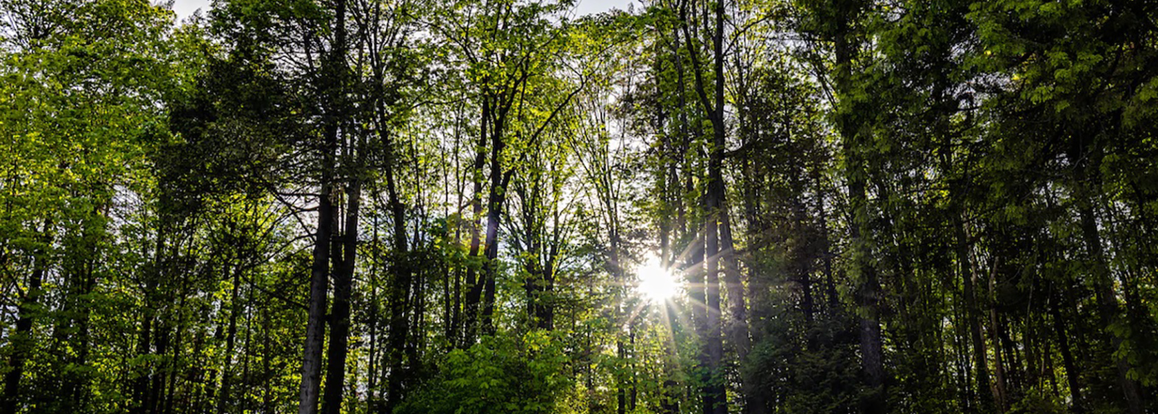 Business succession banner