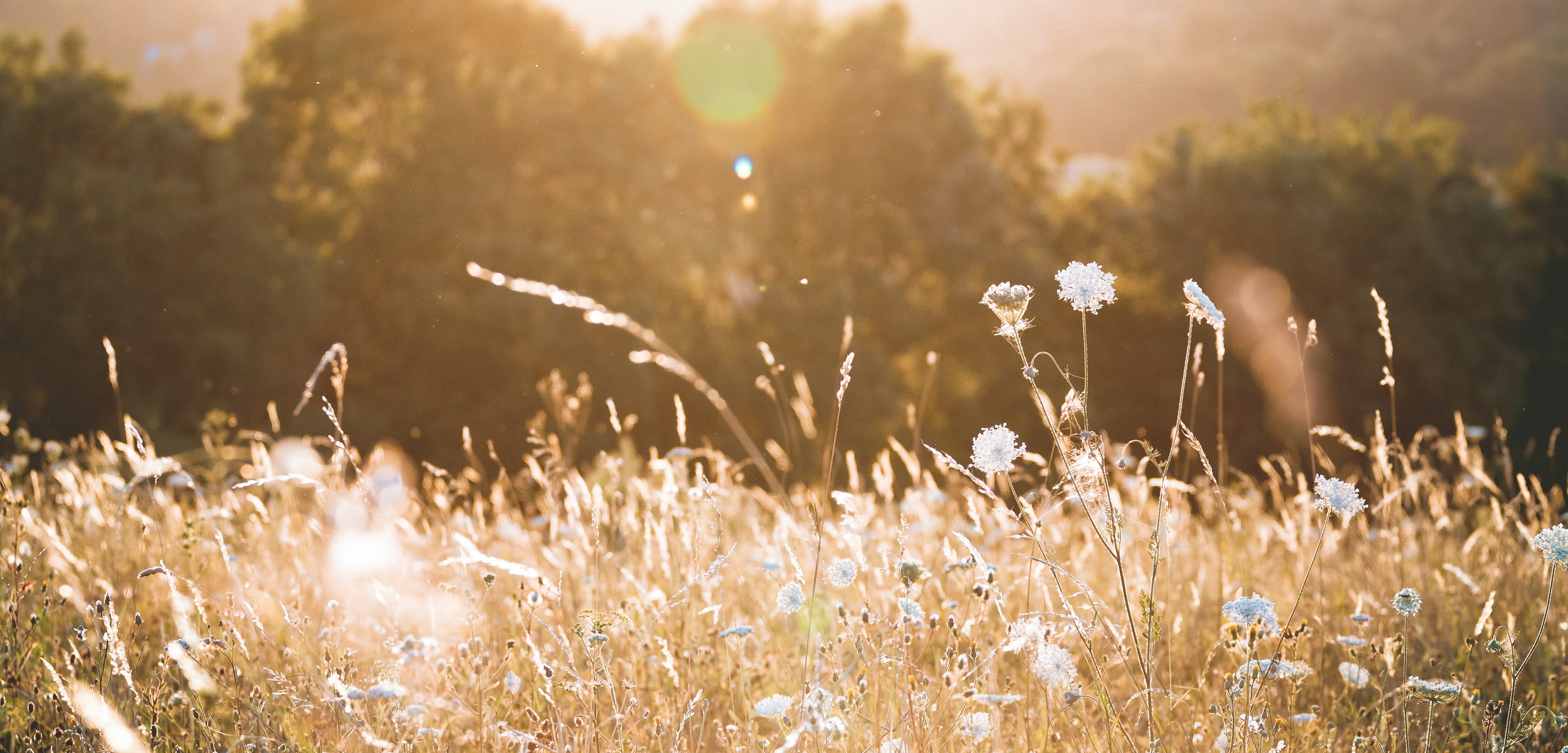 Gestion de patrimoine familial