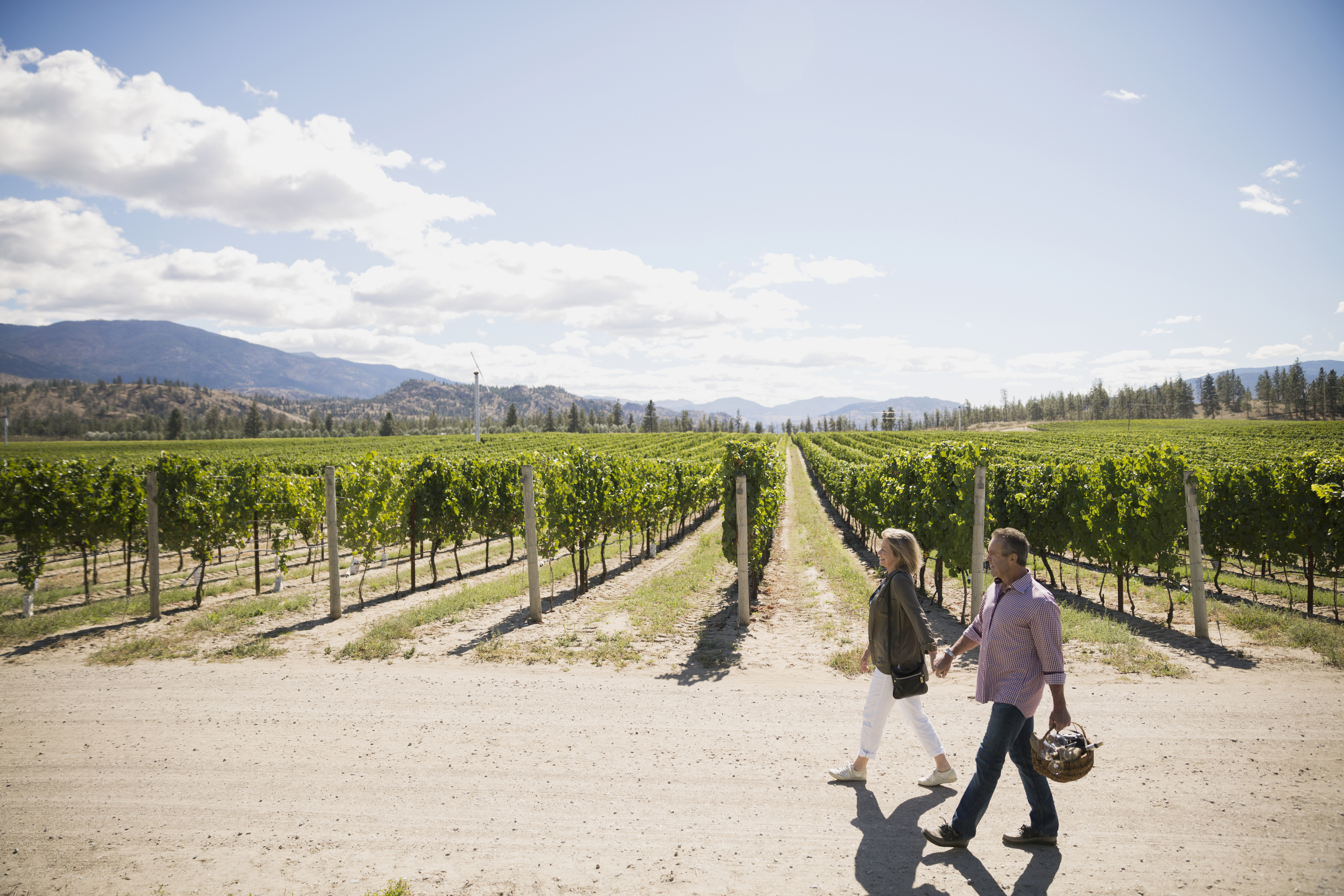 Couple holding hands vinyard