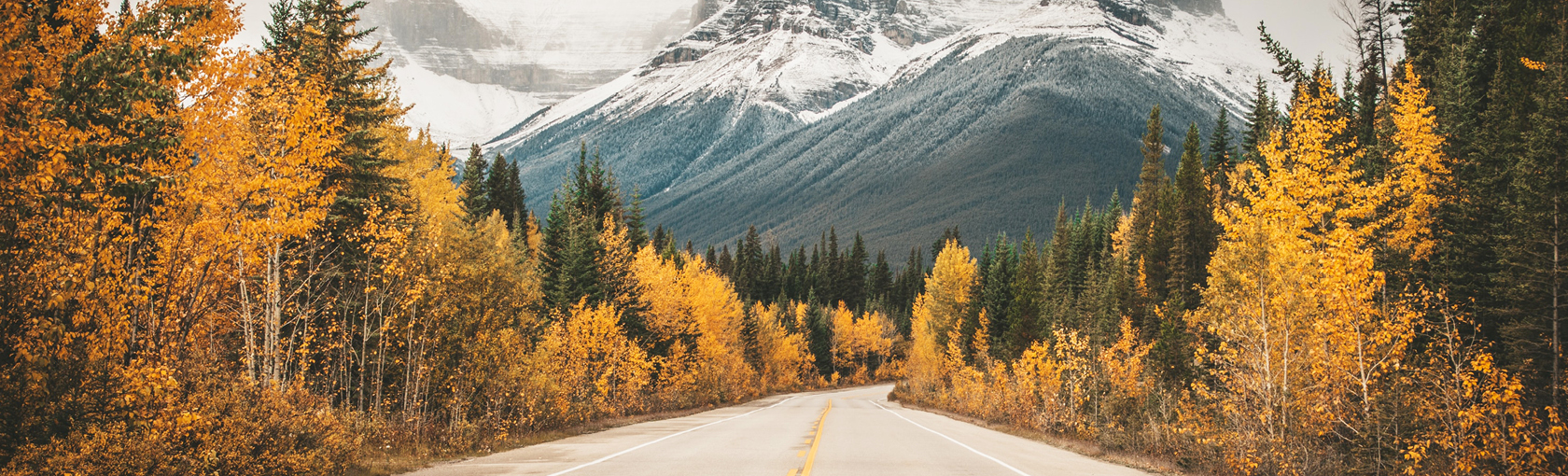 Shannon Family Wealth Management Group