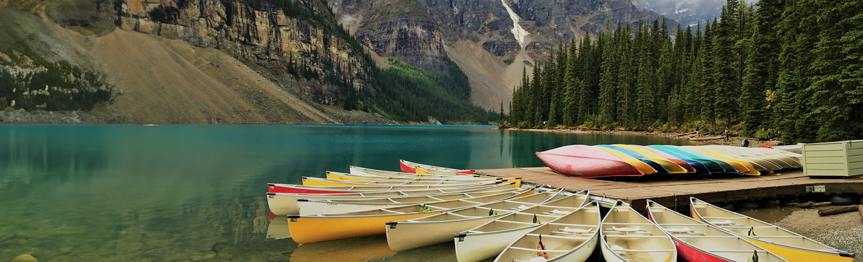 Shannon Family Wealth Management Group