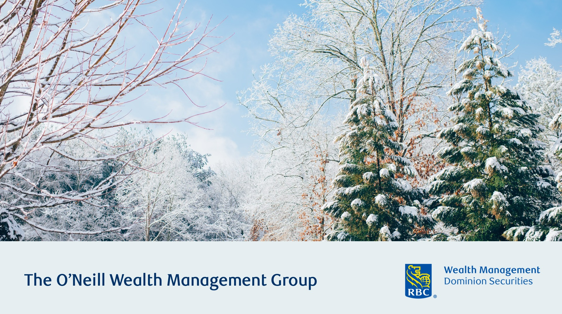 The O’Neill Wealth Management Group’s Executive Summary Q4 2023