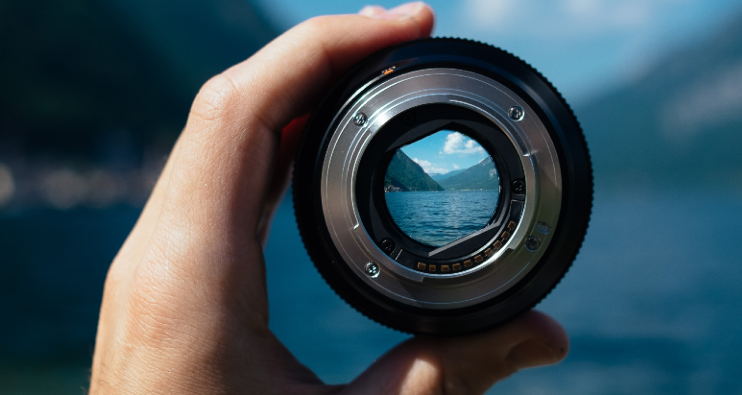 In focus – A closer look at opportunities in fixed income, the risks of cash, and “magnificent” insights on equity markets