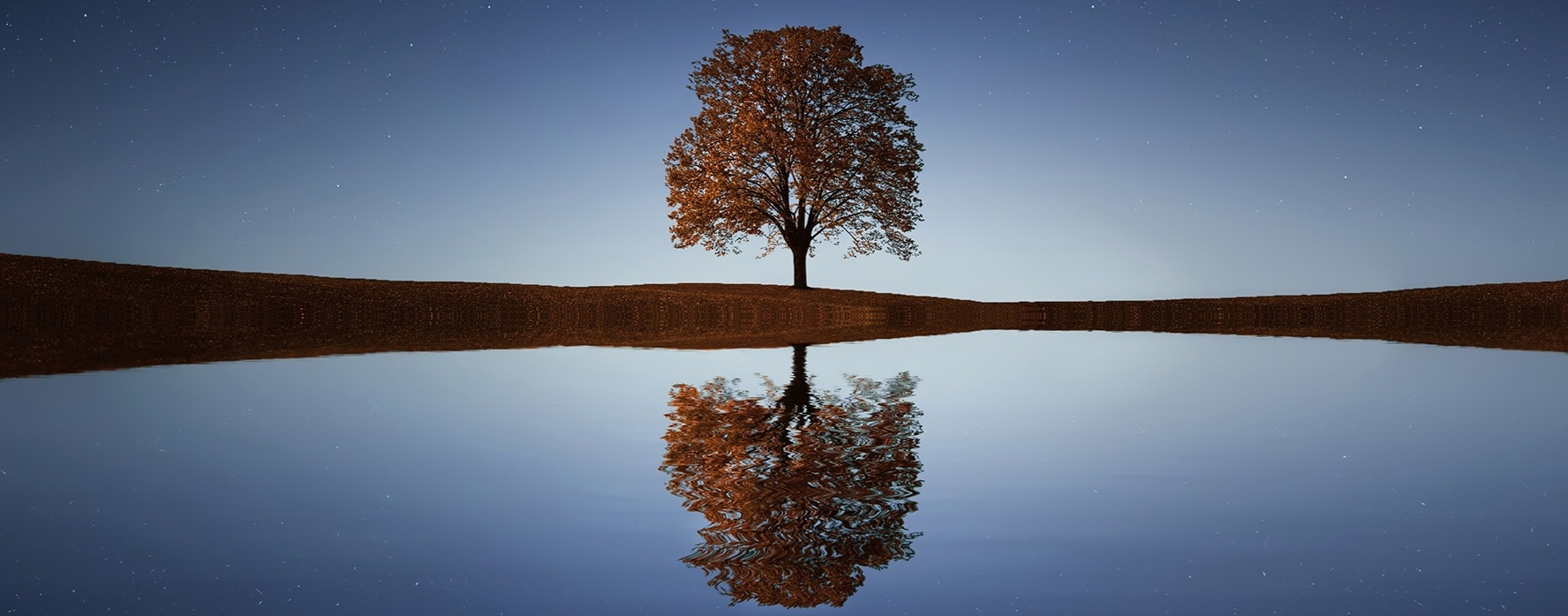 DAVID WILKINSON - RBC WEALTH MANAGEMENT CANADA