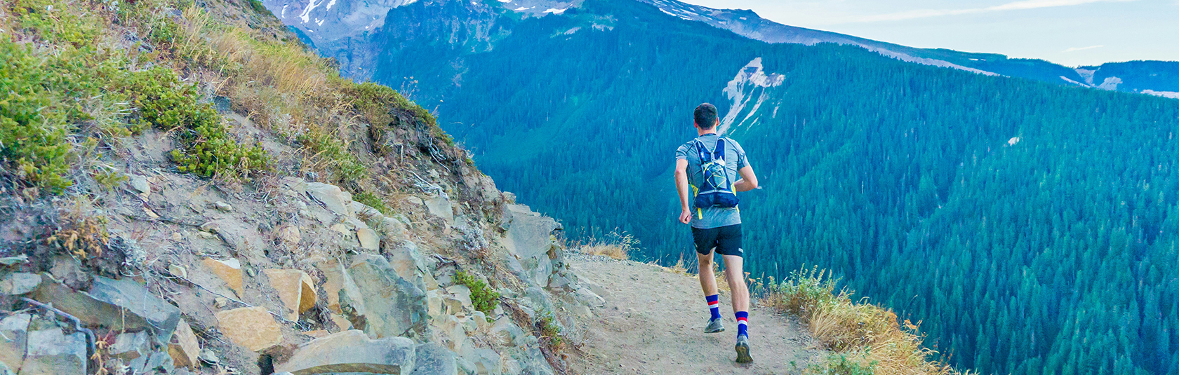 Hogg & Hauber Private Wealth Management