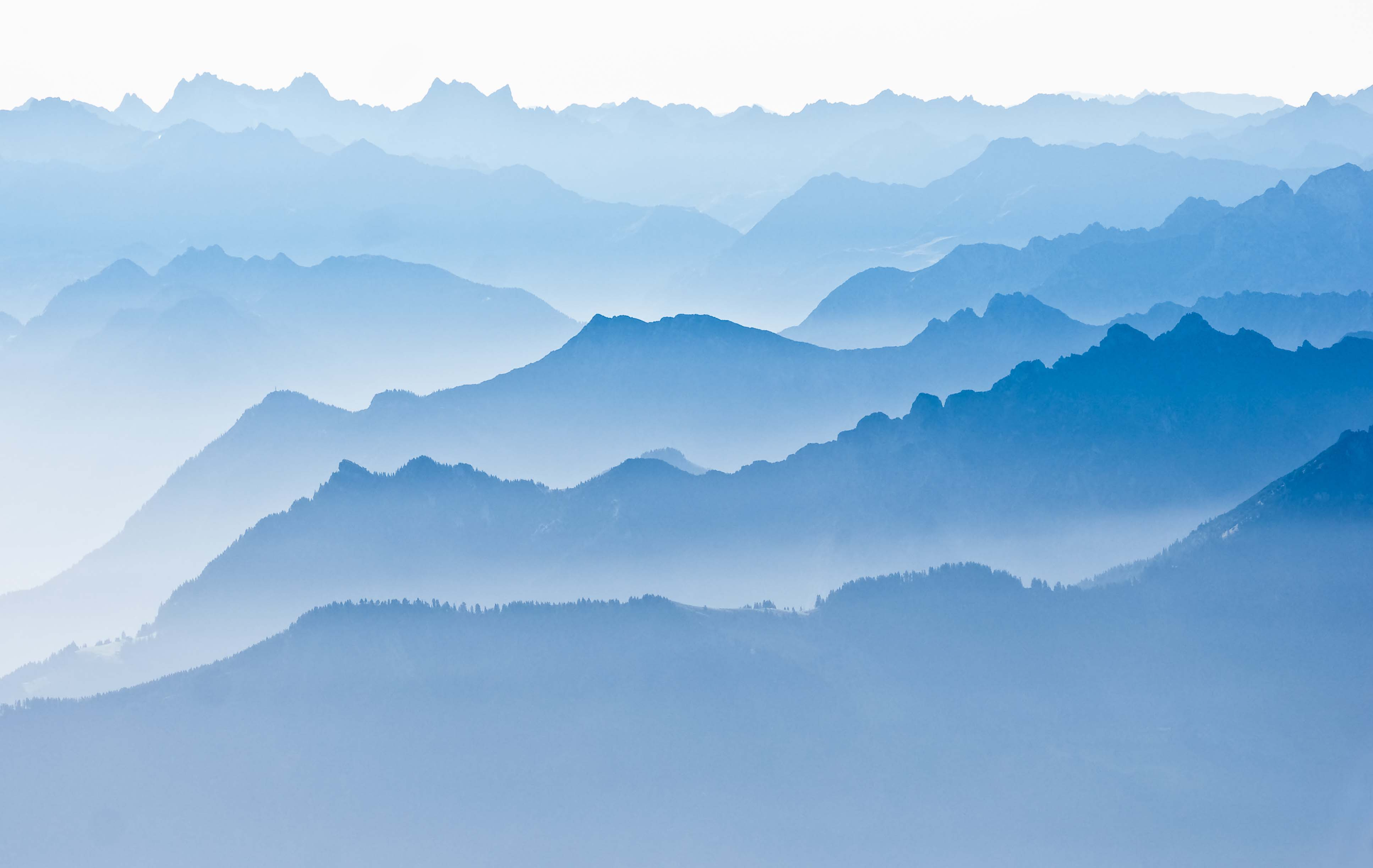 RBC DS-MISTY MOUNTAIN