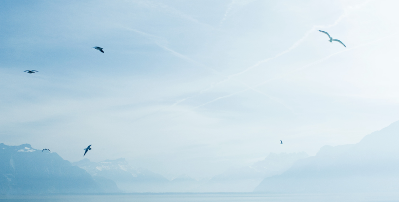 Canada’s growth challenge: Why the economy is stuck in neutral