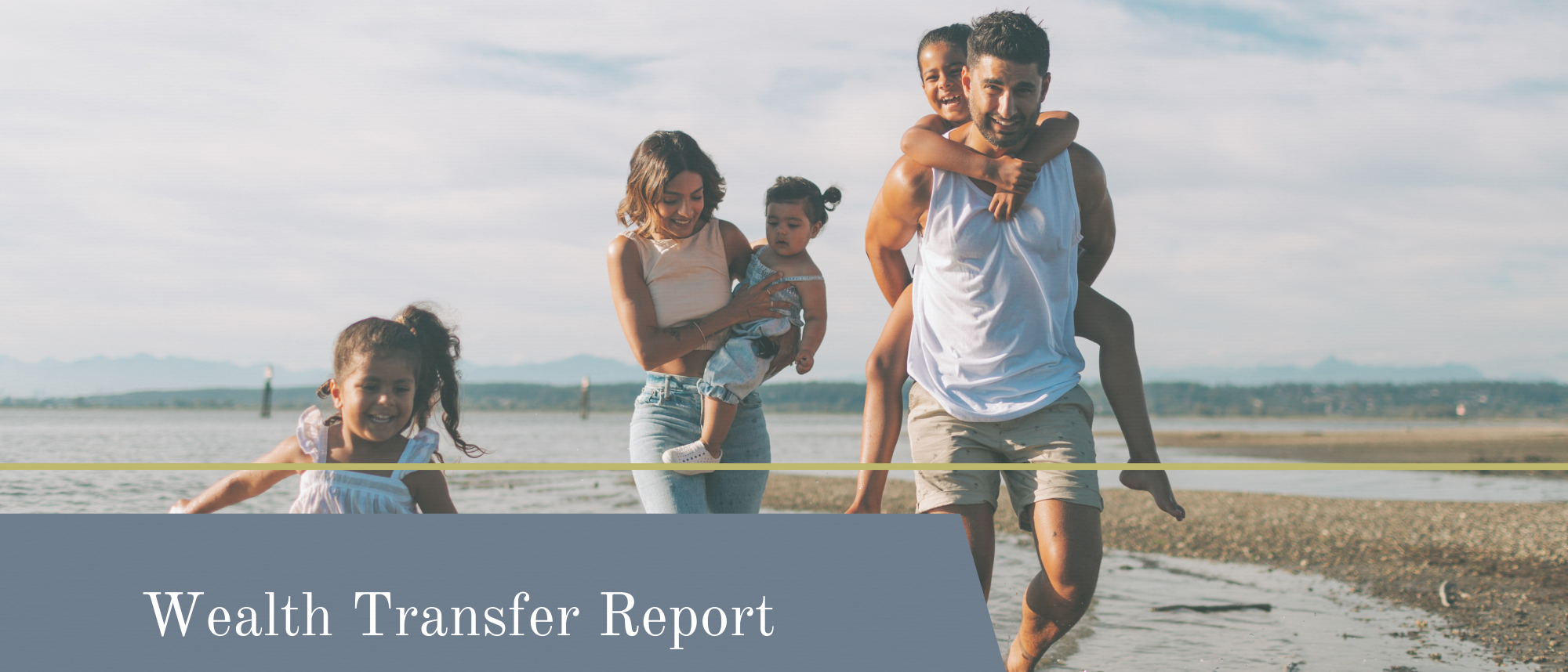 Wealth Transfer Report