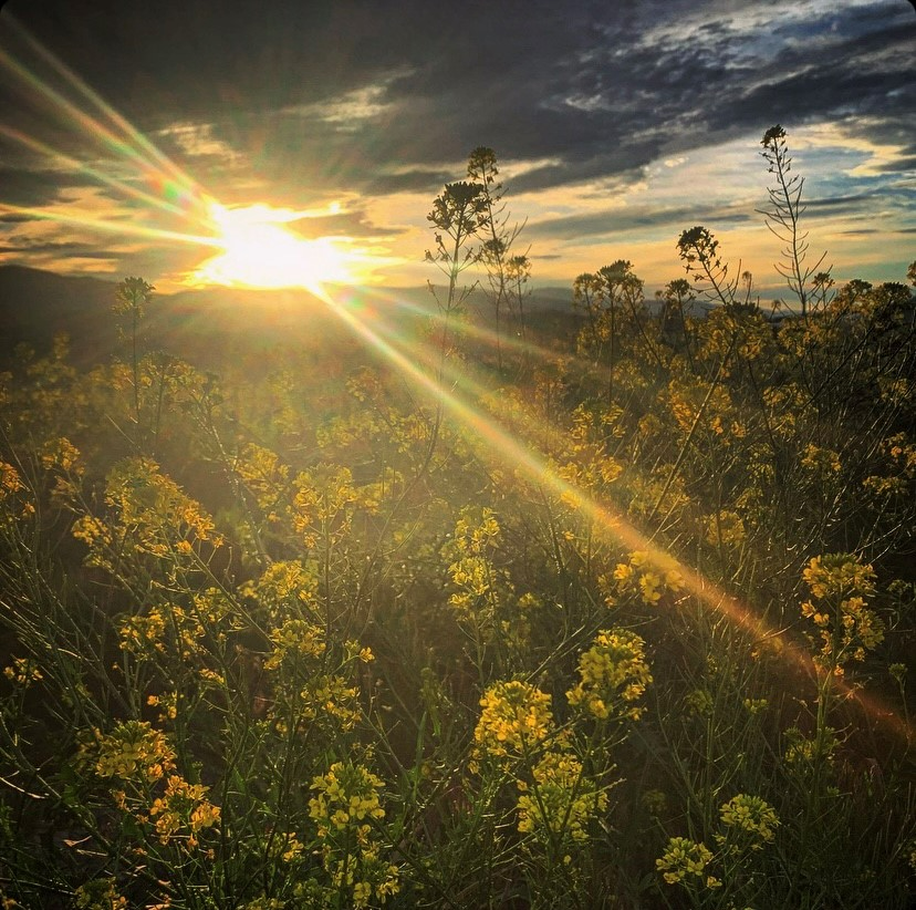 RBC x Cleveland Clinic Canada