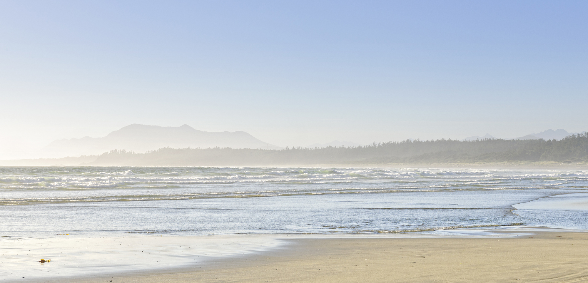 DAN OSACHOFF, BA, FMA, CIWM, CIM