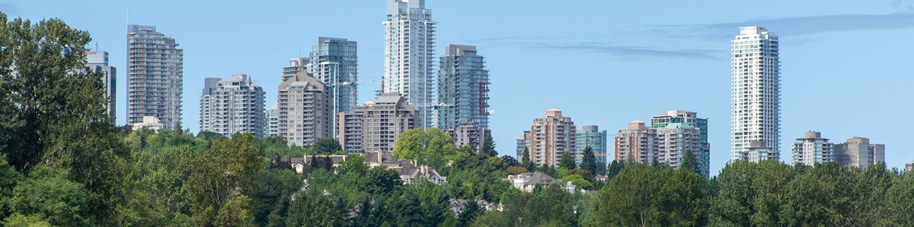 PATRICIA NG, CFP, FMA, FCSI, CIM