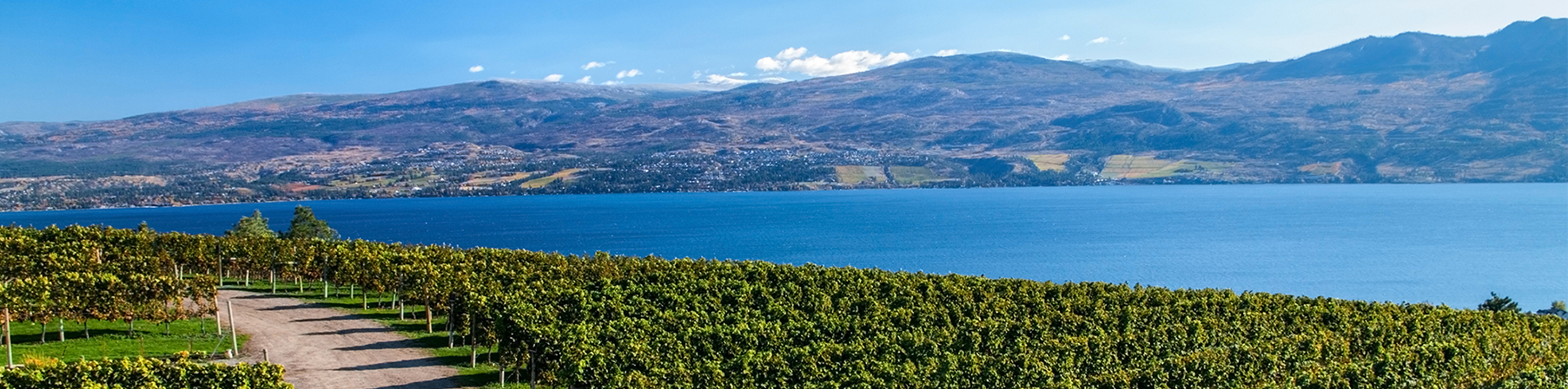 WIKJORD FINANCIAL GROUP