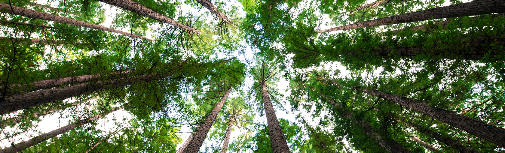 Hogg & Hauber Private Wealth Management