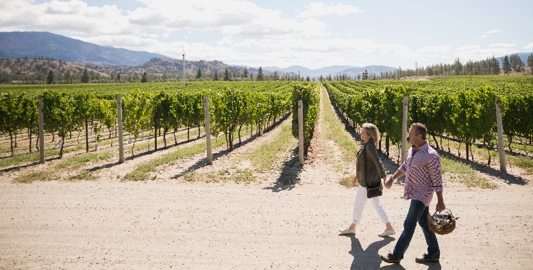 Couple holding hands at vineyard