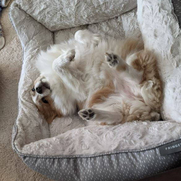 Top and Tail - February 2025