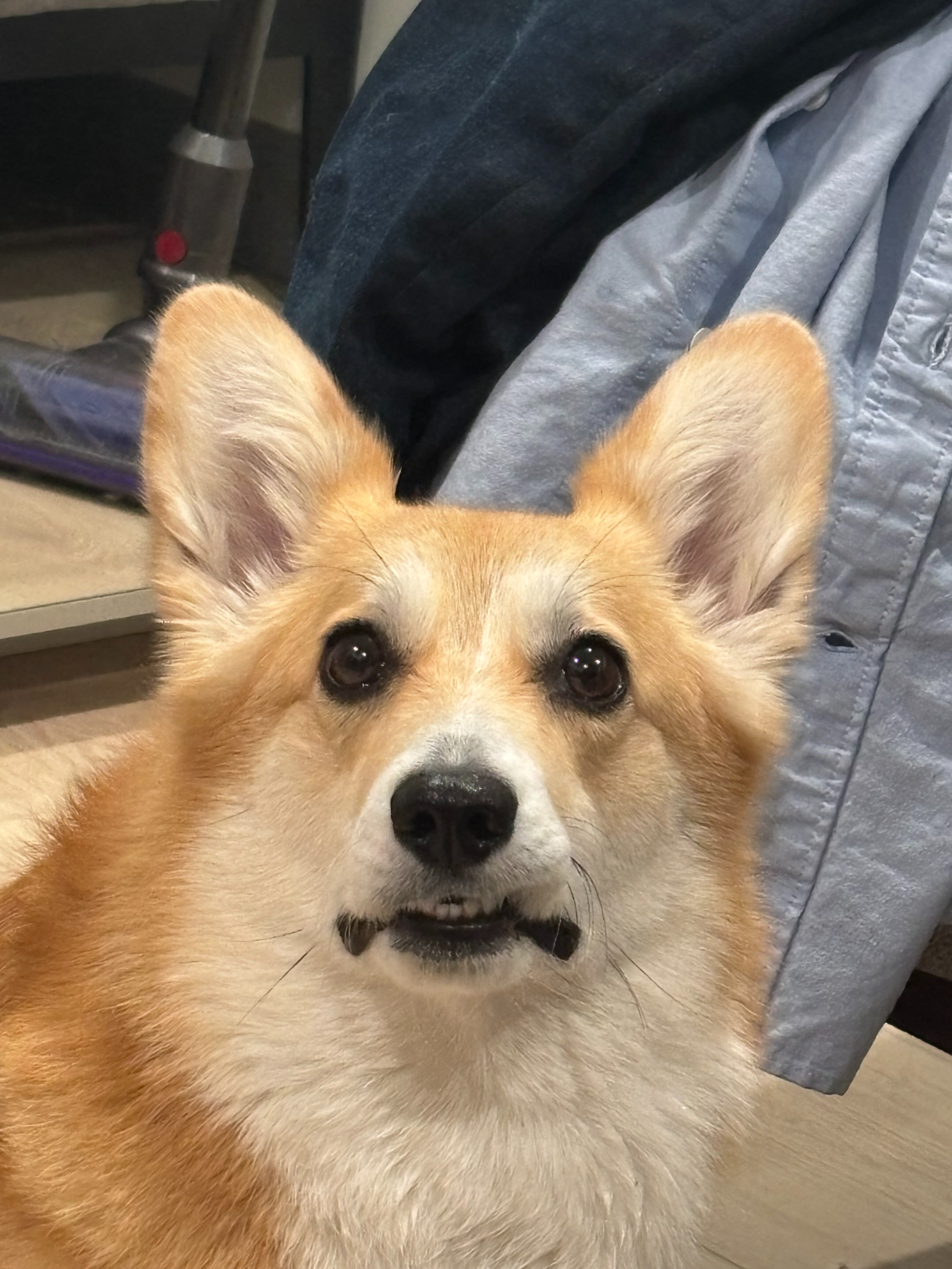 Top & Tail - April 2025 Portfolio Update