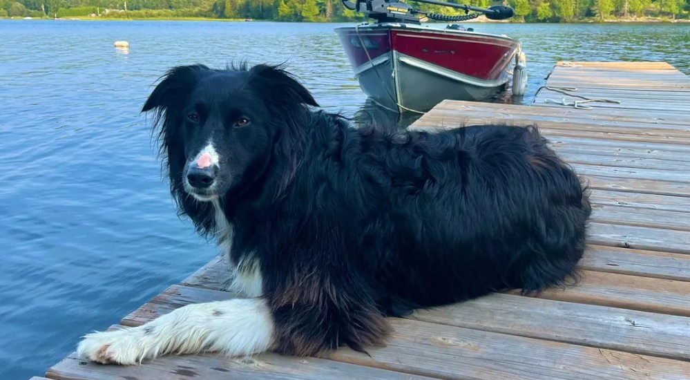 Top & Tail - May 2025 Portfolio Update