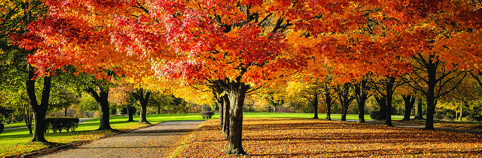 Hogg & Hauber Private Wealth Management