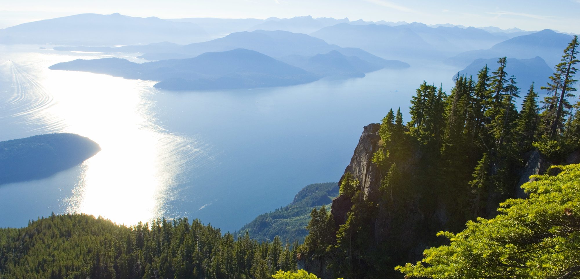 trees lake Oakville RBC Wealth Management 