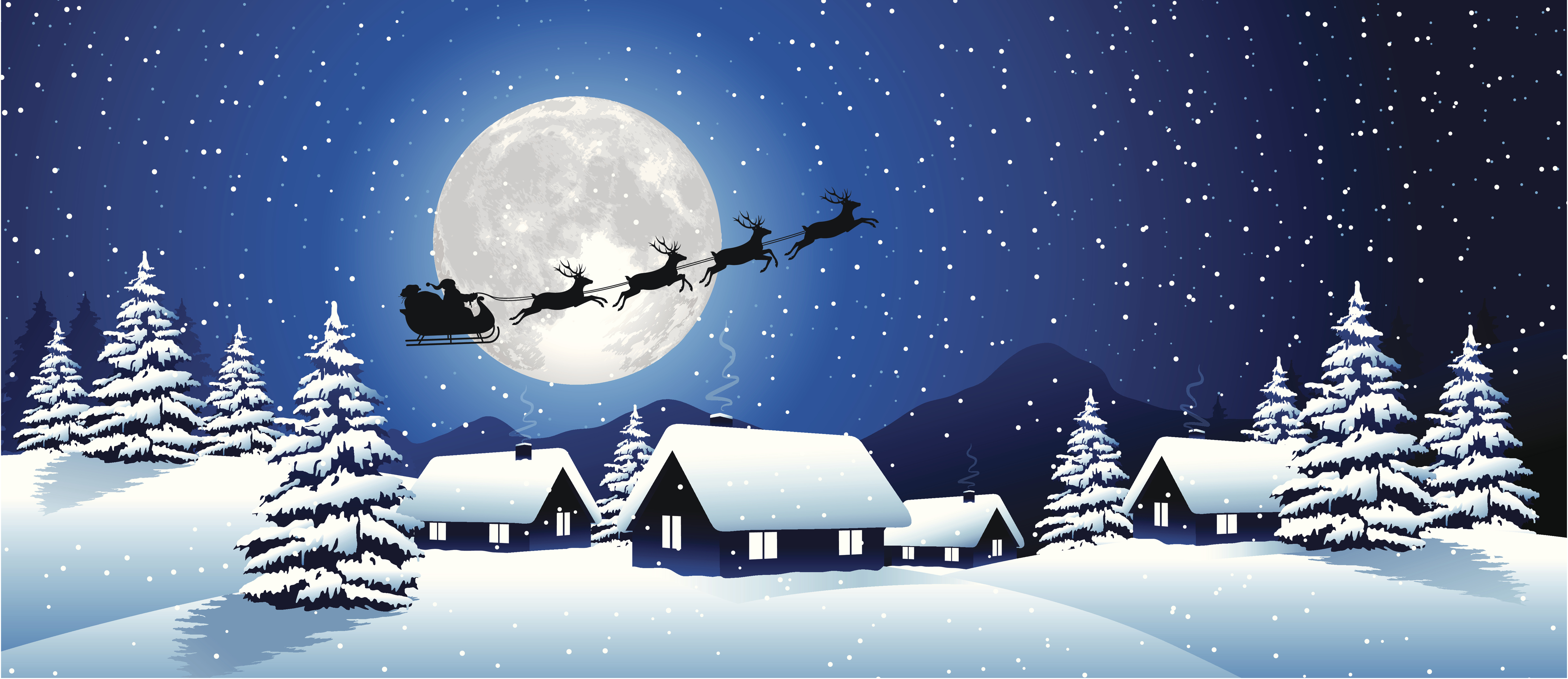 Could Not Load Image