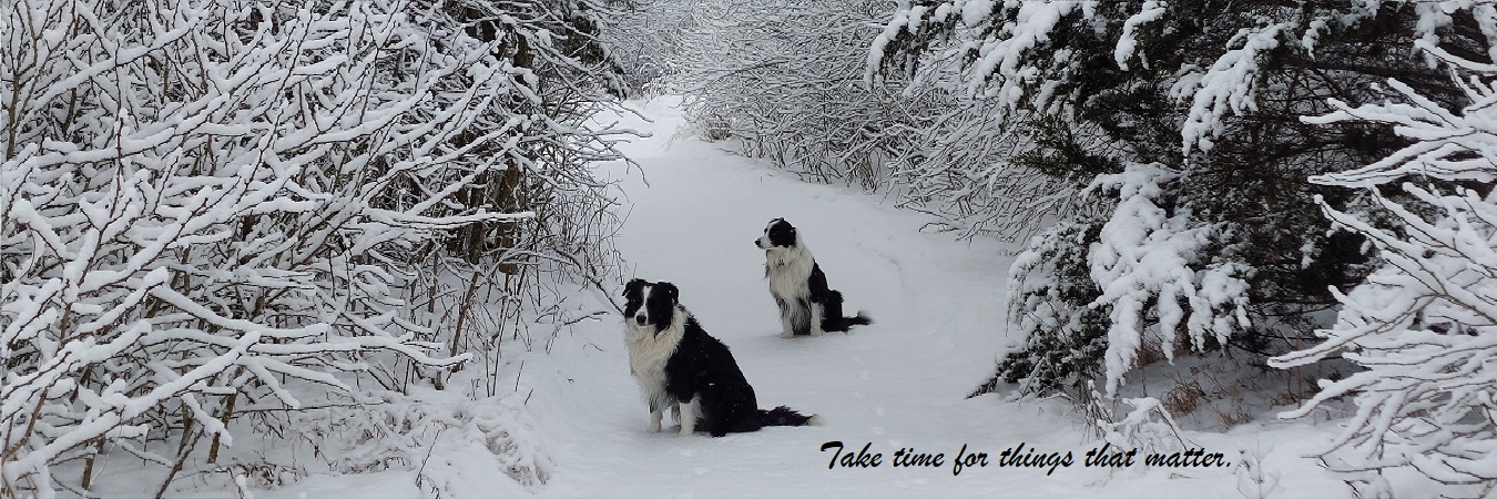 Th&eacute;riault Wealth Management Team