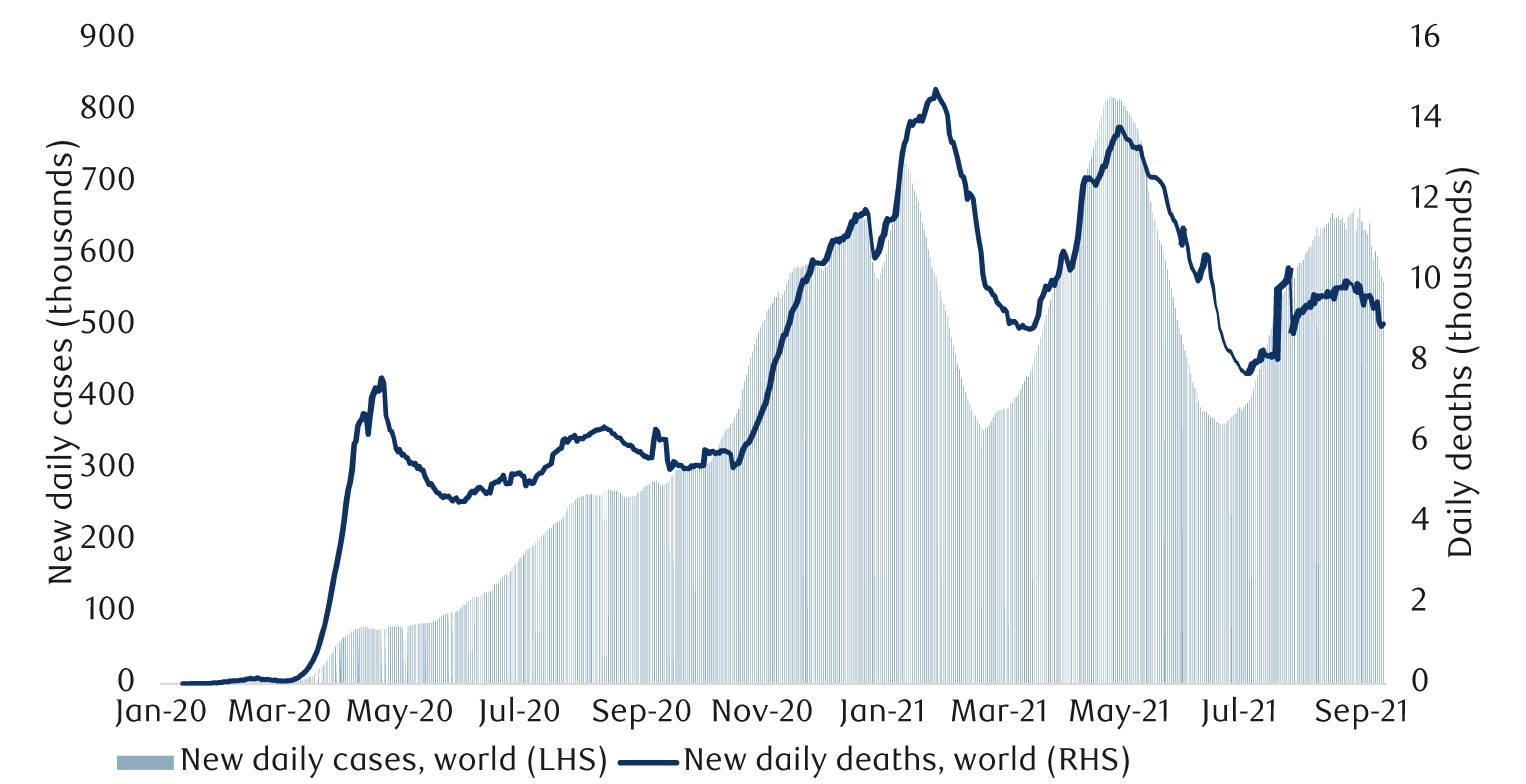 Global COVID-19 cases and deaths