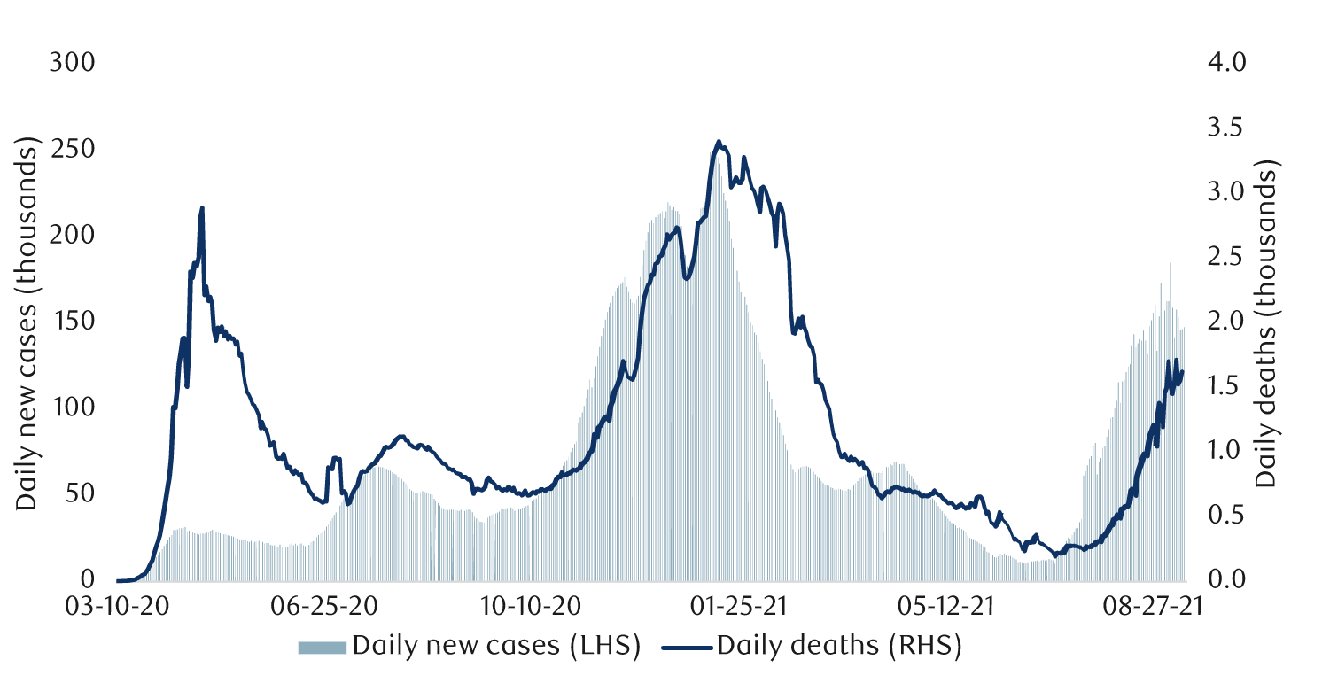 COVID-19 cases and deaths in the U.S.
