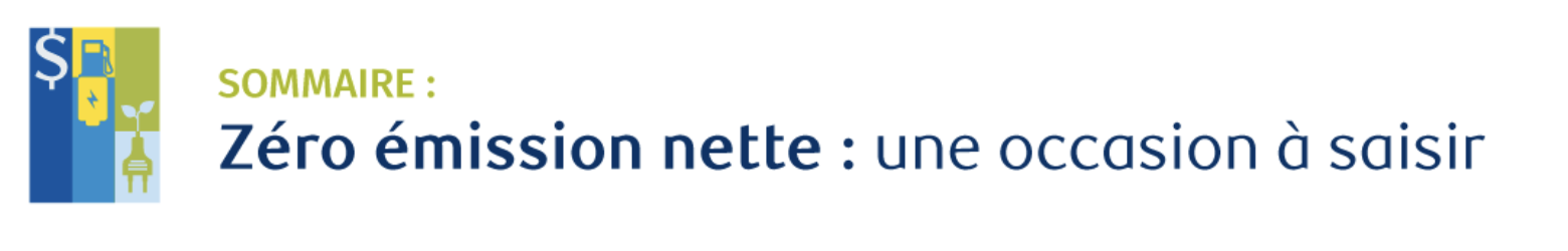 The Net zero opprotunity
