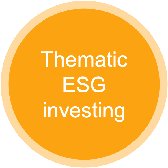 Thematic ESG investing