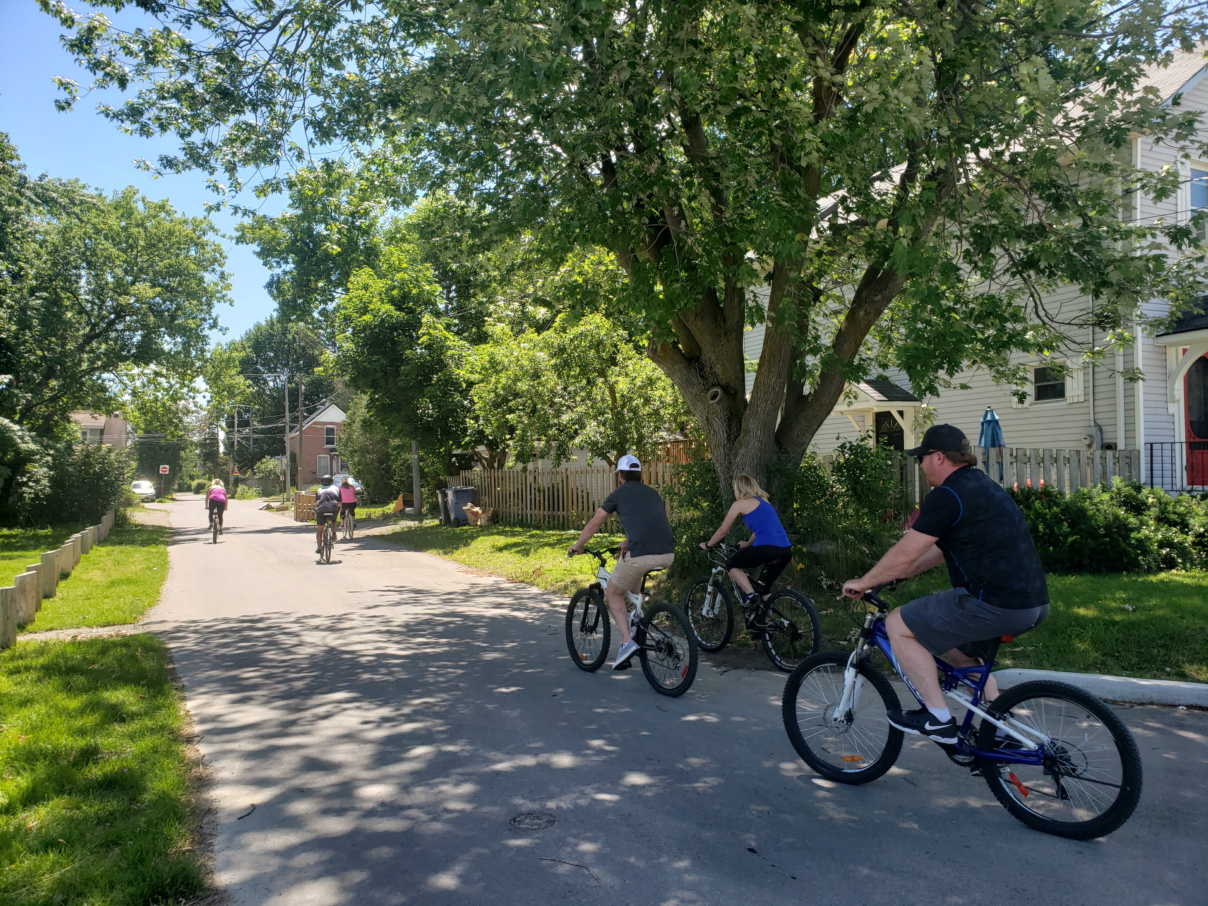 Group of adults riding their bikes along a small tree-lined laneway.